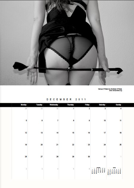 The Official Venus O'Hara 2011 Calendar